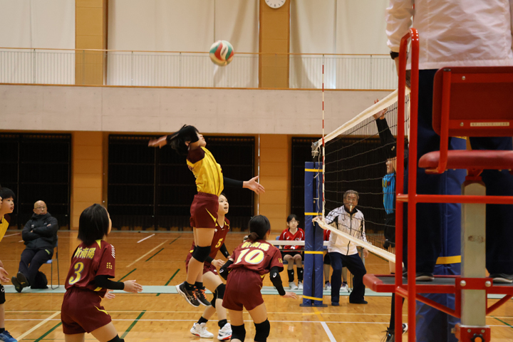 IMG_4532.jpg