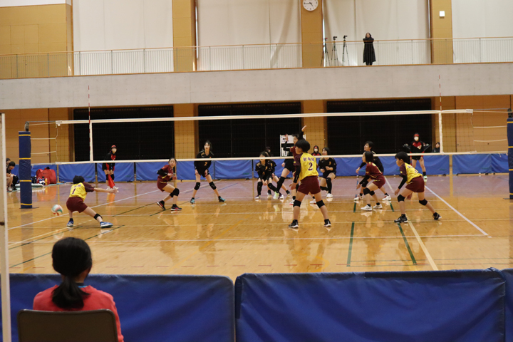 IMG_5674.jpg